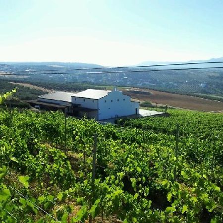 Апартаменты Bodegas Morosanto Ла-Симада Экстерьер фото
