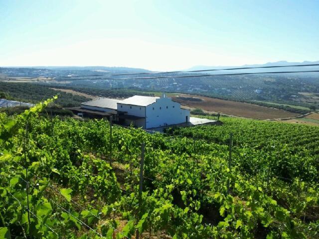 Апартаменты Bodegas Morosanto Ла-Симада Экстерьер фото